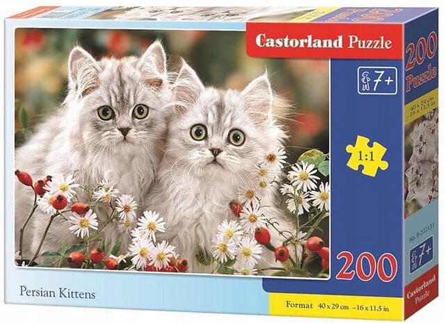 Castorland 200 Puzzle Persian Kittens CASTOR B-222131