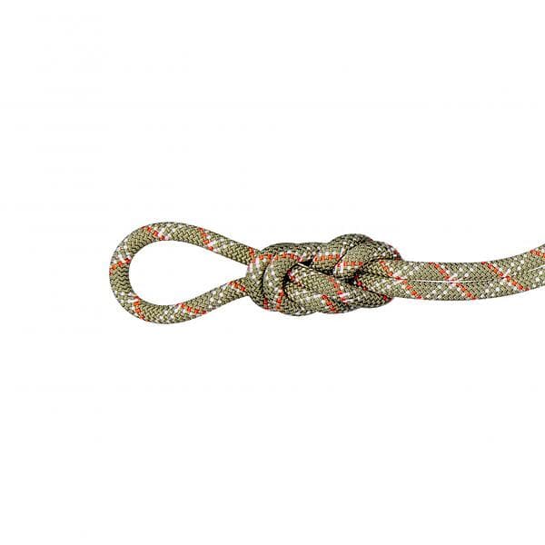 Mammut Gym Classic 9,5mm Rope Grönt 50 m