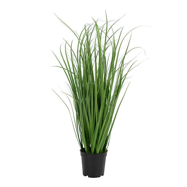 House Nordic Konstväxt Poa Grass 9501080