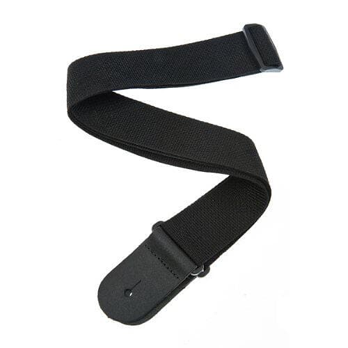 Planet Waves PWS100