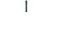 Rembrandt Soft Pastel Phthalo Green 5