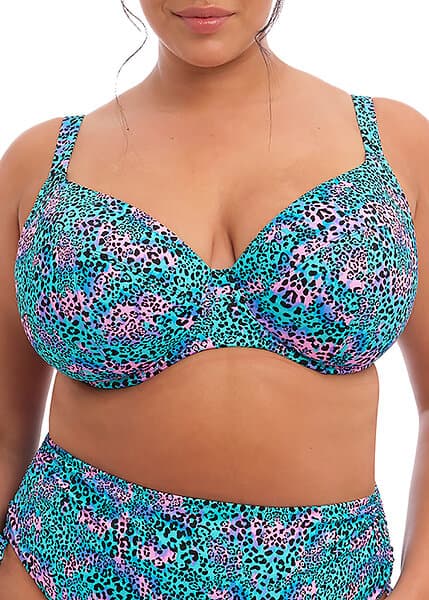 Elomi Electric Savannah UW Plunge Bikini Top (Dam)