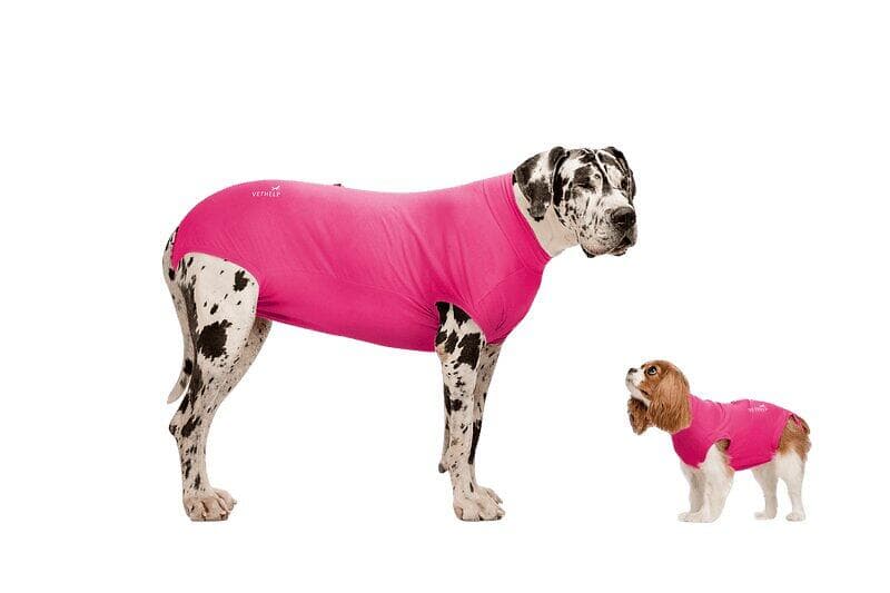 VetHelp Recovery Suit