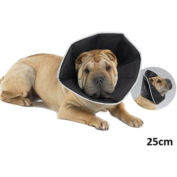 AFP All For Paws The Comfy Cone Pet Recovery Collar