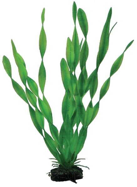 HOBBY Plastväxt Vallisneria 34cm