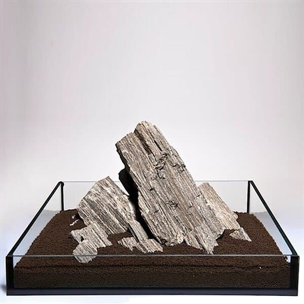Meyer Andreas Glimmer Wood Rock Gray 1kg