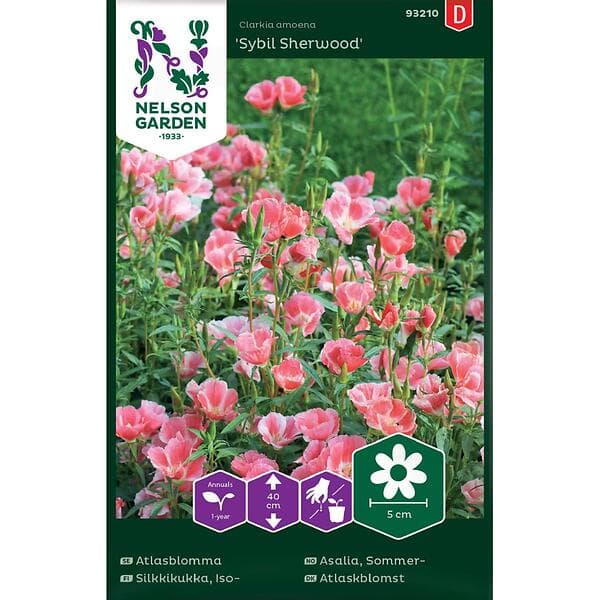 Nelson Garden Fröer Atlasblomma Sybil Sherwood Rosa