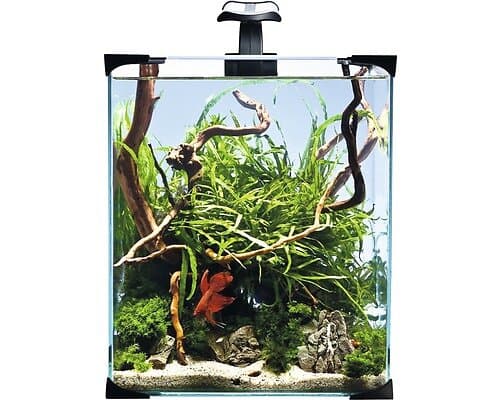 Nanoakvarium LED 20L 25x25x30cm