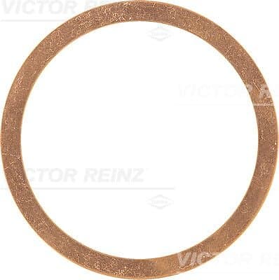 Victor Packning, topplock reinz 41-70580-00