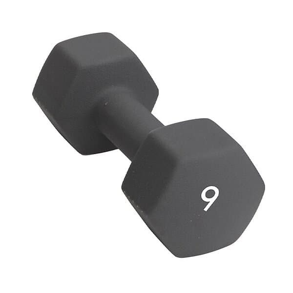 Abilica Dumbbell 9kg