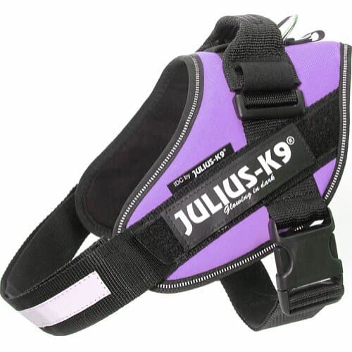 Julius K9 IDC Harness