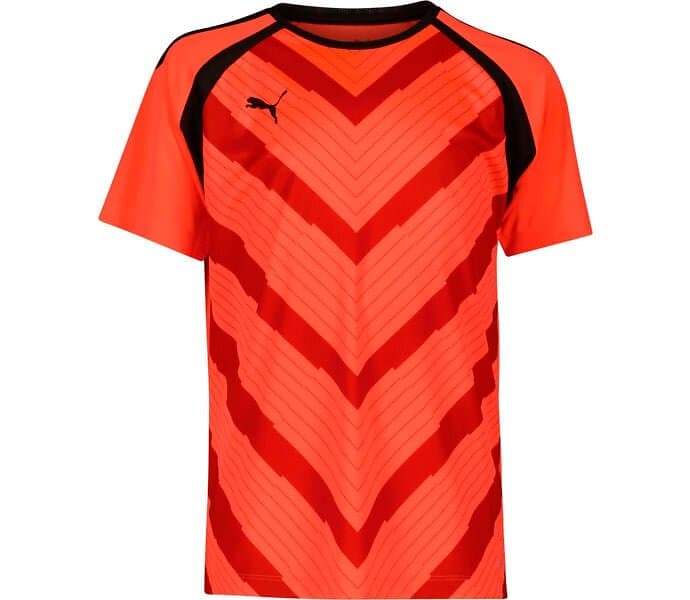 Puma teamLIGA Graphic T-Shirt (Jr)