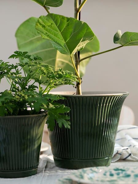 IKEA KAMOMILL Kruka 19 cm