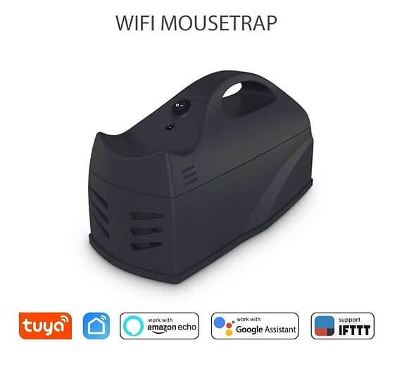 Rått & Musfälla: Wifi