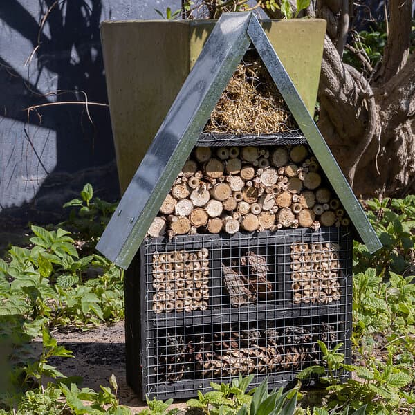 Care Bird Insektshotell B, svart