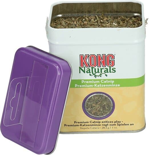 Kong Premium kattmynta
