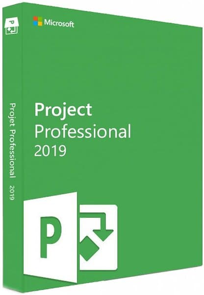 Microsoft Project Professional 2019 (PC)