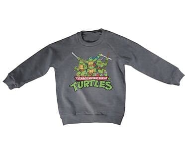 Teeange Mutant Ninja Turtles Distressed Group Kids Sweatshirt (Jr)