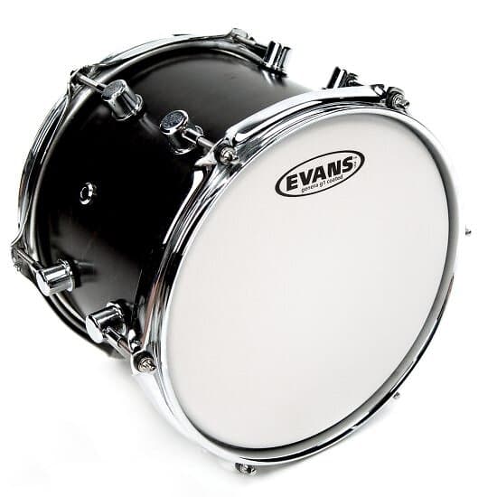 Evans B12G1