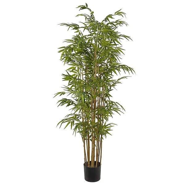 Bambu 180 cm