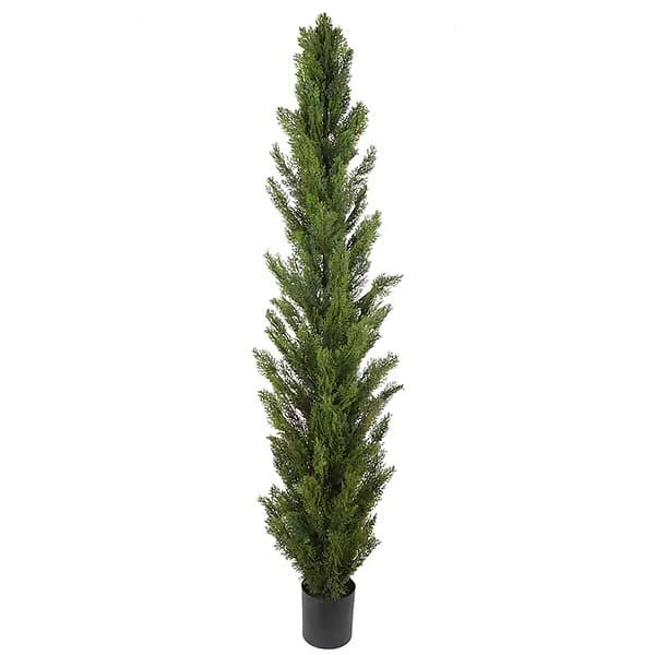 Cypress Träd 150 cm