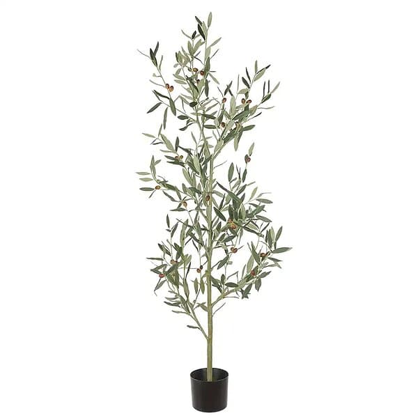 Oliv Träd 140 cm Grön