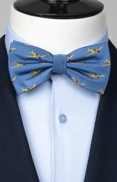 Neckwear Ljusblå fluga flygplan