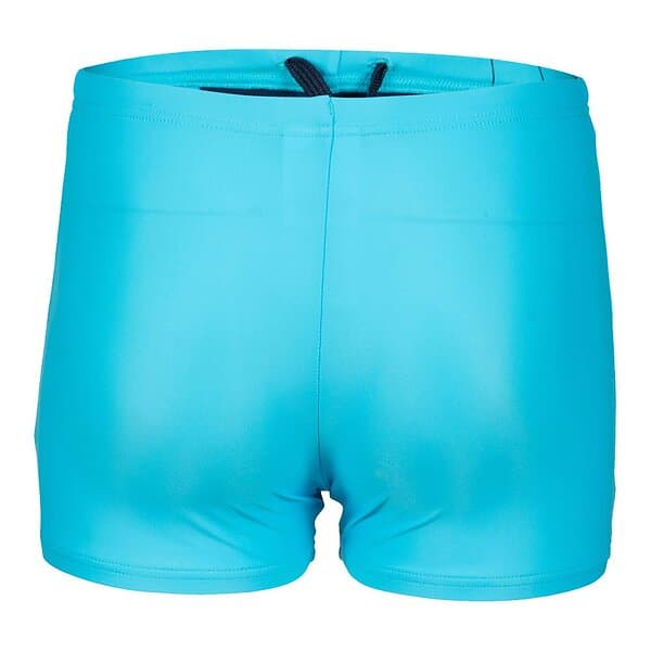 Arena Graphic Swimming Shorts (Pojke)