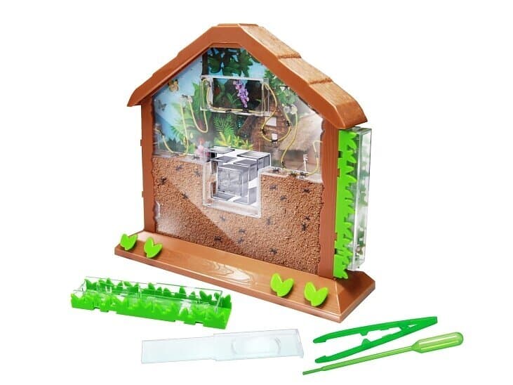 Eastcolight Myrfarm (Myrakvarium)