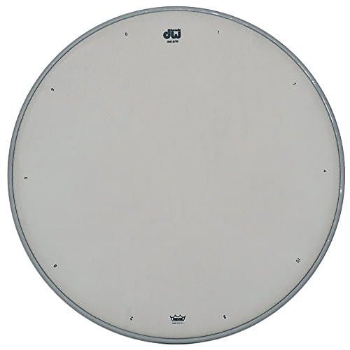 DW Drum Workshop Snare drum head Double A white coated 14" DRDHACW14