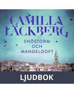 Snöstorm och mandeldoft : en kortroman ur Mord mandeldoft, Ljudbok