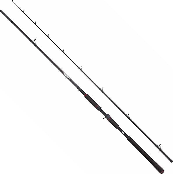 ABU Garcia BEAST Pike 8'4" 40-140g Casting