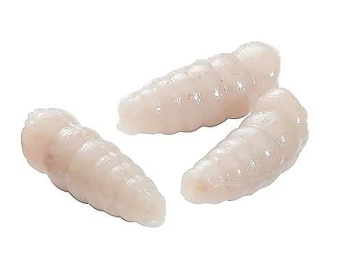 Berkley Gulp Powerbait Maggot Hvit