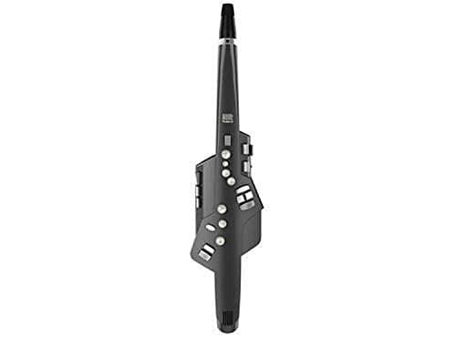 Roland Aerophone AE-10G Digital Wind Instrument