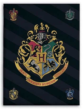 Borg Living Fleecefilt Harry potter Hogwarts 100x140 cm Fleecepläd barn