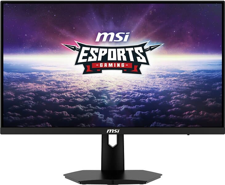 MSI Pro MP2412 24" Gaming Full HD VA