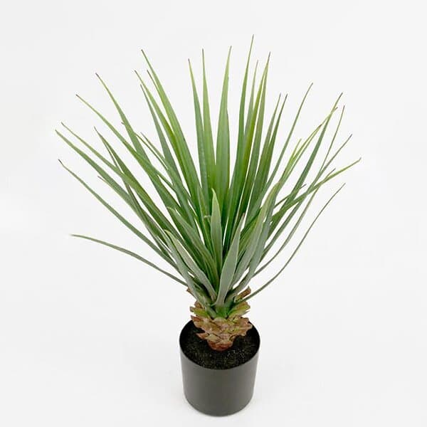 Mr Plant Konstväxt Yucca 101370