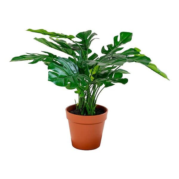 House Nordic Konstväxt Monstera 9501040