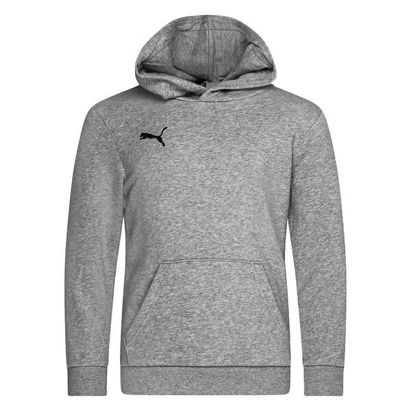 Puma Luvtröja teamGOAL 23 Casuals (Jr)