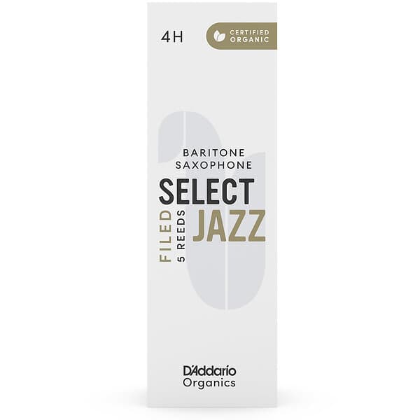 D'Addario OODINDS ORSF05BSX4H
