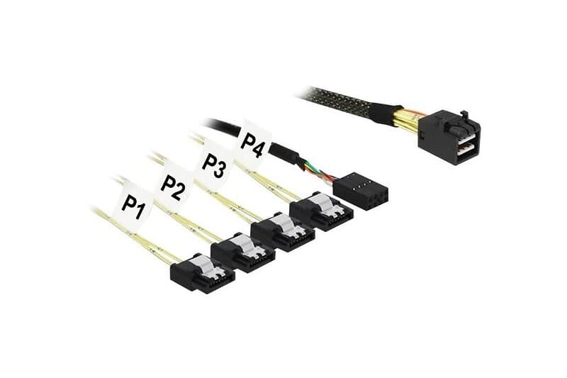 DeLock ATA/SAS-kabel 1 m