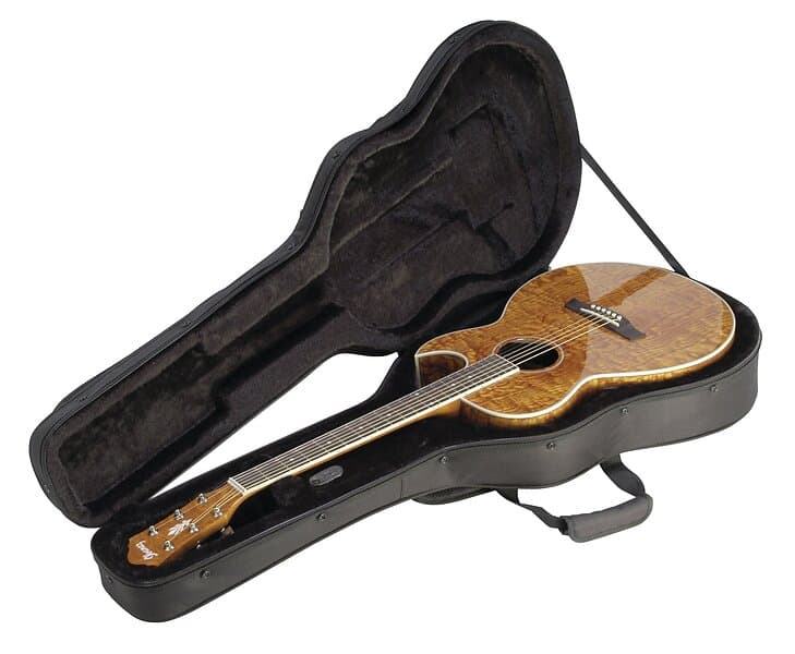 SKB Cases 1-SC30 SOFT CASE CLASS/EL.T