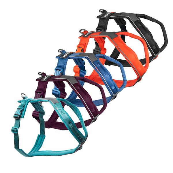 Non-Stop Dogwear Line Hundsele 5,0 Turkos (2)