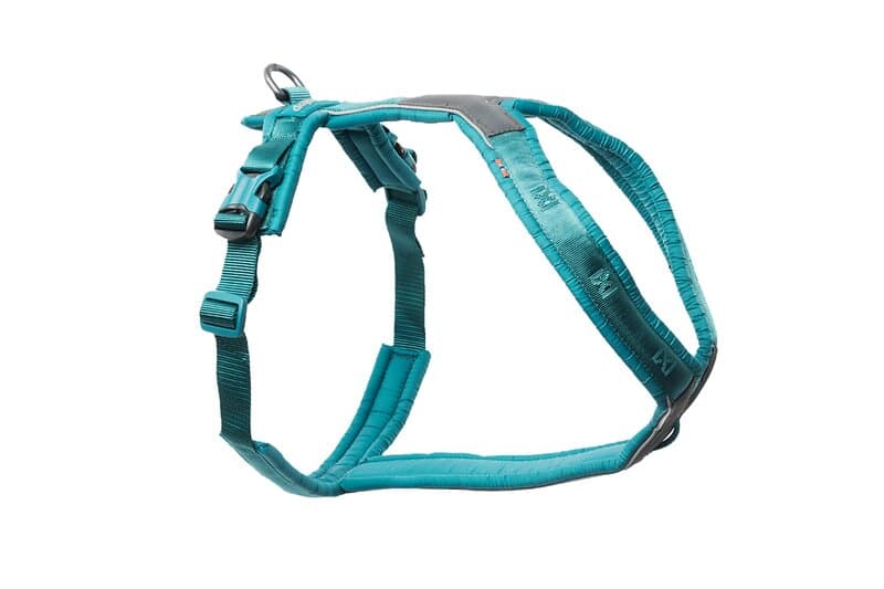 Non-Stop Dogwear Line Hundsele 5,0 Turkos (3)