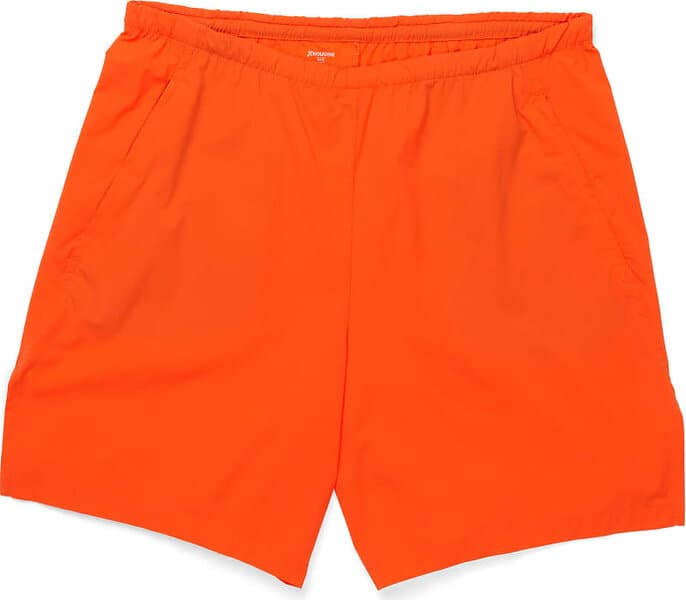 Houdini Pace Light Shorts (Herr)