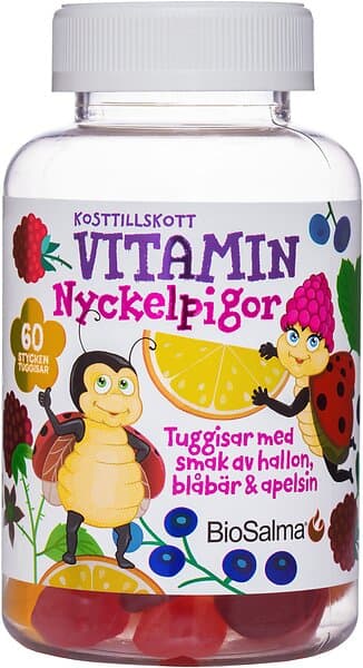 Biosalma Vitamin Multivitamin Nyckelpigor 60