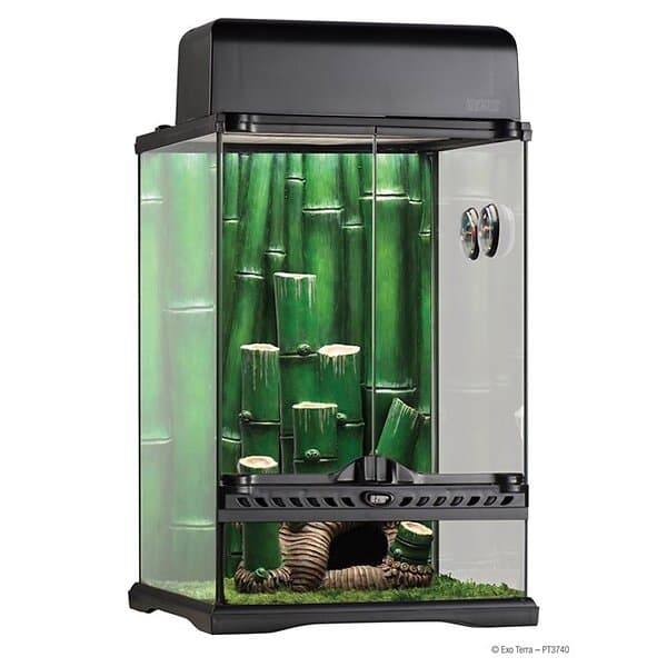 eXo Terra Terrariumpaket Bambuskog 30x30x45