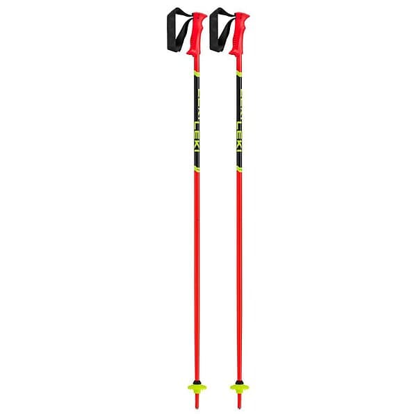 Leki Alpino Racing Poles