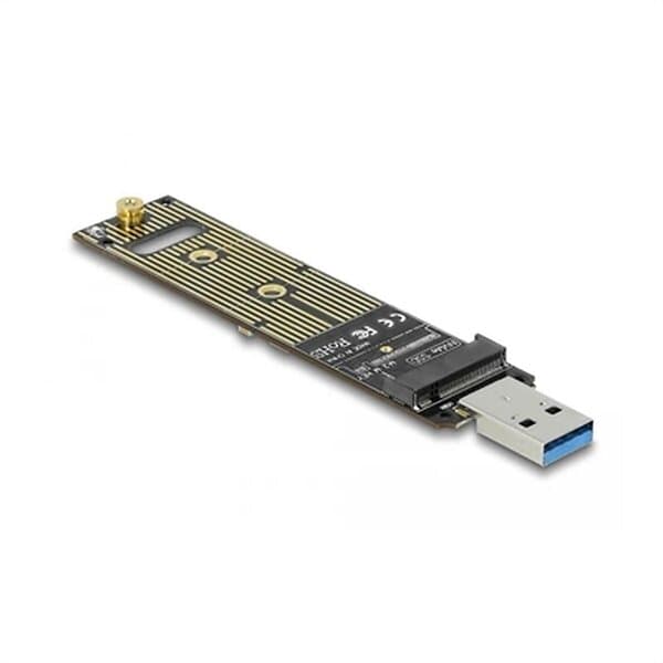 DeLock kontrollerkort M.2 NVMe Card USB 3,1 (Gen 2)