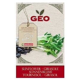 Geo Solrosfrö EKO 80g